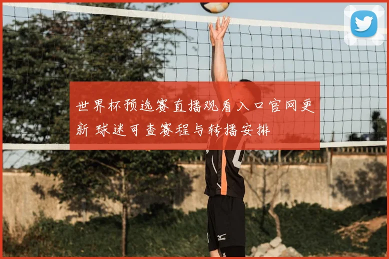 世界杯预选赛直播观看入口官网更新 球迷可查赛程与转播安排