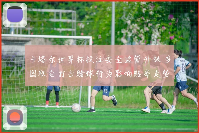 卡塔尔世界杯投注安全监管升级 多国联合打击赌球行为影响赔率走势