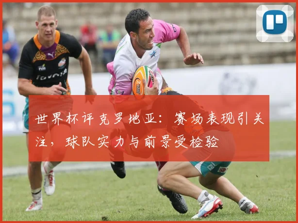 世界杯评克罗地亚：赛场表现引关注，球队实力与前景受检验